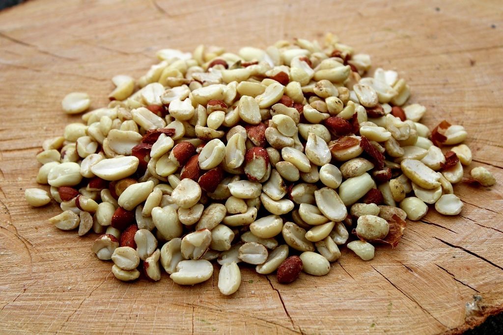 Bird´s Garden 25kg Erdnusskerne teilblanchiert Vogelfutter Produktbild 
