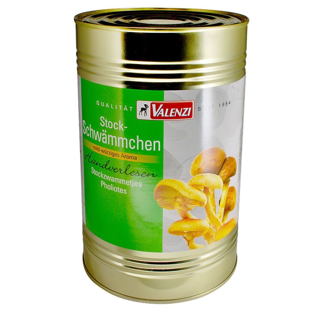 Valenzi Stockschwämmchen 2295g