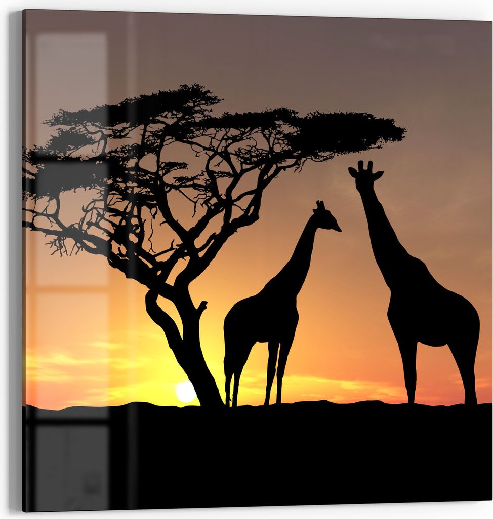 DEQORI Glasbild Echtglas 50x50 cm 'Afrikanische Eleganz' Wandbild Bild modern Deko