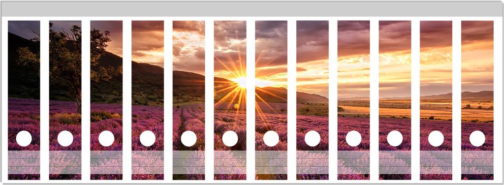 Wallario Ordnerrücken Sticker, selbstklebend für breite Ordner, 12 Stück, Motiv Lavendelfeld bei Sonnenuntergang - Sonnenstrahlen