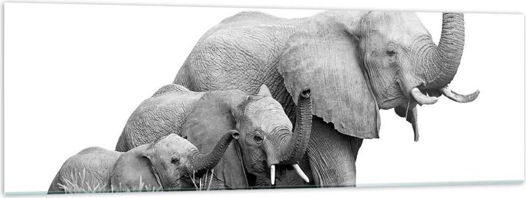 Bilder auf glas - Einteilig - Elefanten Familie Schwarz und Weiß - 160x50cm - Glasbilder - Wandbilder - Bilder - Wanddekoration aus Glas - Glas Bi...