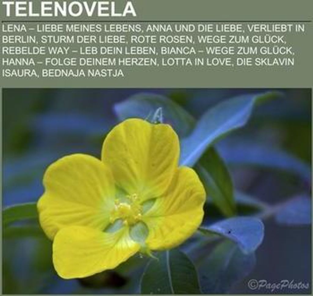 Telenovela