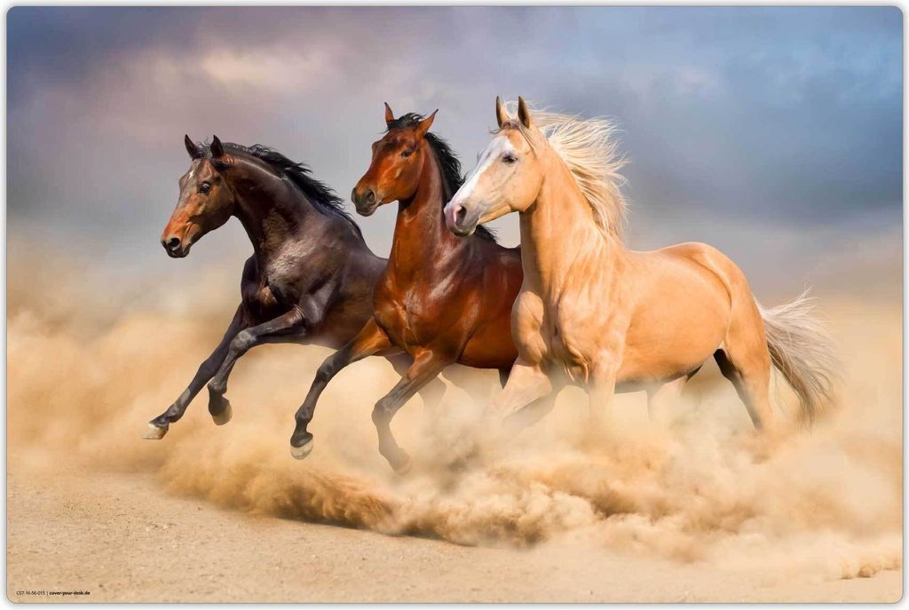 Schreibtischunterlage für Kinder - abwaschbar - Drei Pferde - aus premium Vinyl - 60 x 40 cm - Germany - Jungs & Mädchen