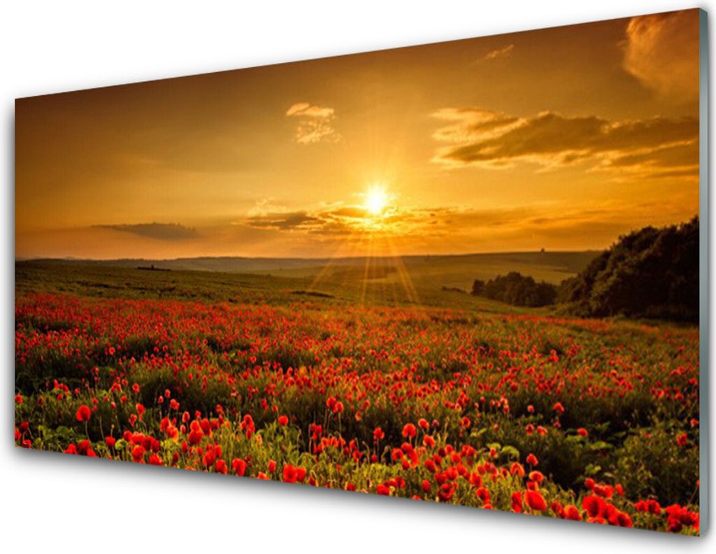 Küchenrückwand aus Glas 100x50cm Spritzschutz See Wiese Blumen Natur