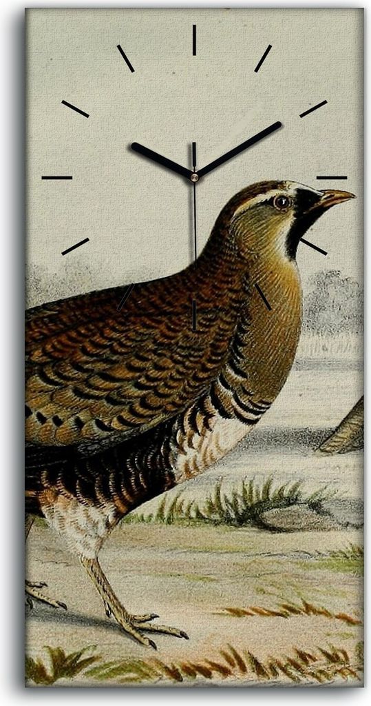 Wanduhr Bürouhr Leinwand Bild Geräuschlos 30x60 Vögel Wild Tiere Zeichnung Kunst - schwarze Hände