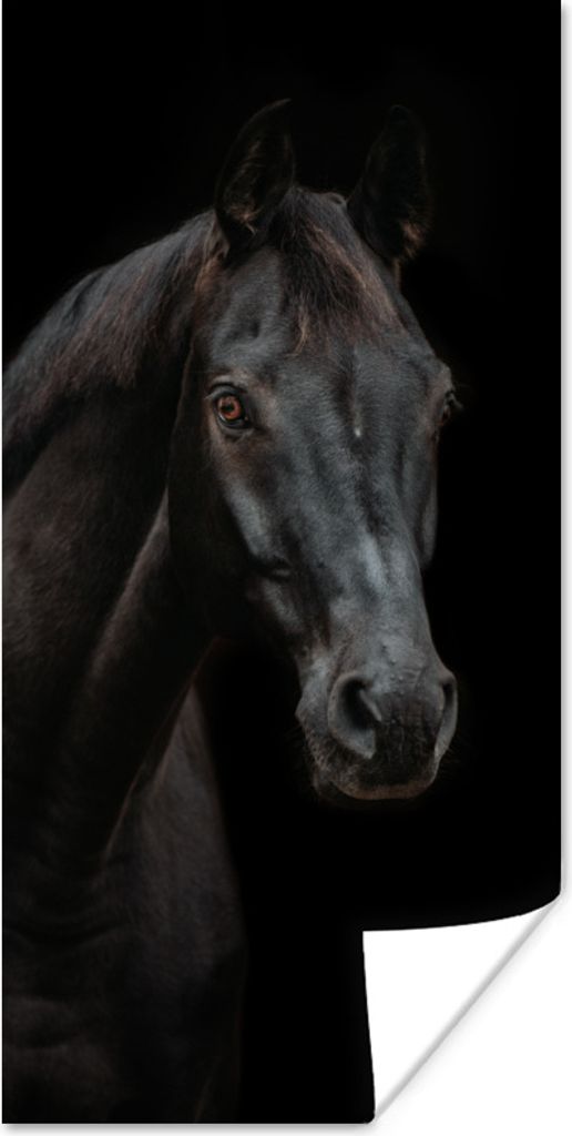 MuchoWow Poster Pferd - Nutztier - Schwarz 40x80 cm - Dekoration