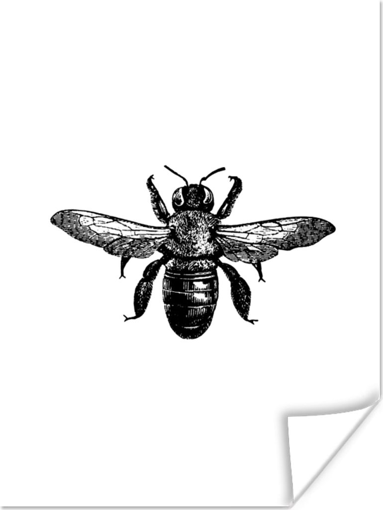 MuchoWow Poster Biene - Insekt - Vintage - Schwarz und weiß 30x40 cm - Wandplakat - Poster Kinderzimmer