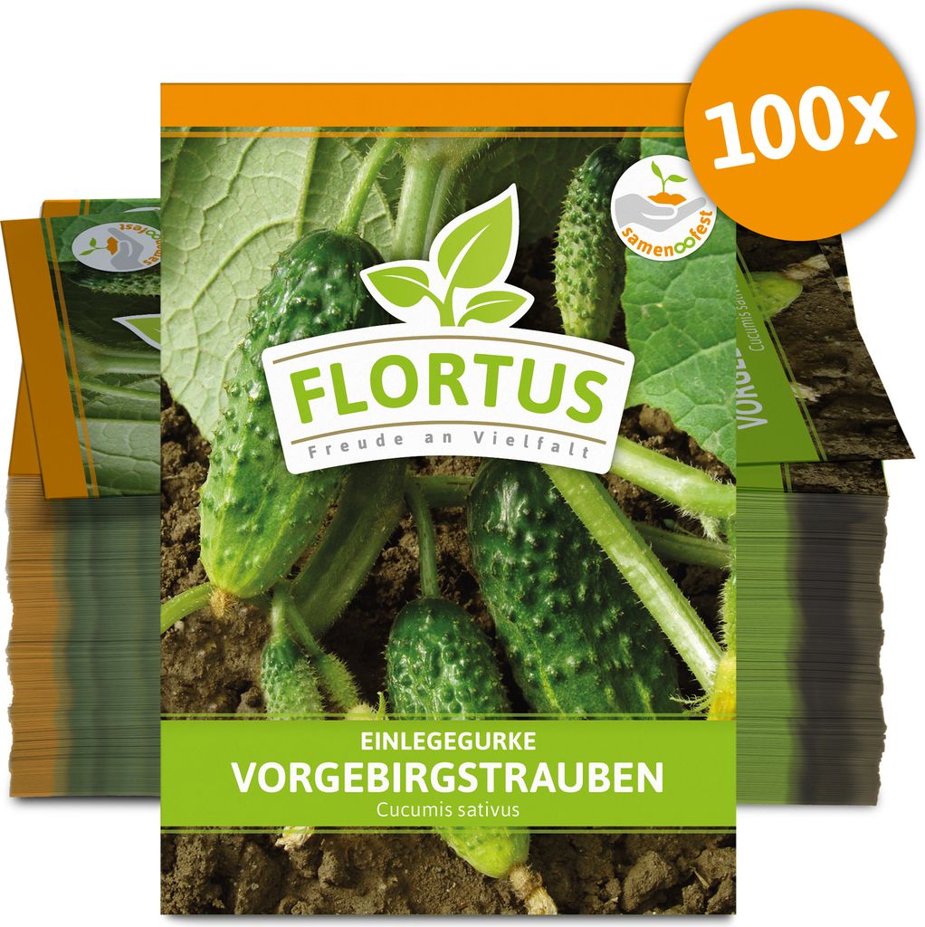 Einlegegurke Vorgebirgstrauben (100 Stück) | Einlegegurkensamen von FLORTUS