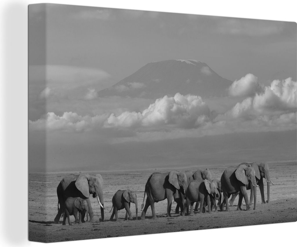 OneMillionCanvasses - Leinwandbilder - 140x90 cm, Afrikanische Elefanten in der Savanne - schwarz und weiß, Wandbilder Kunstdruck Wanddekoration