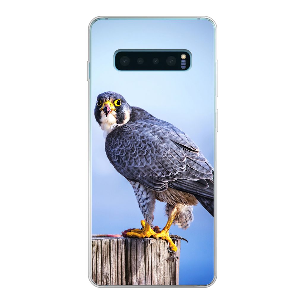 MuchoWow Handyhülle Schutzhülle Hülle für Samsung Galaxy S10 Plus Nahaufnahme eines Raubvogels auf einer dicken Holzstange Silikon Softcase H...