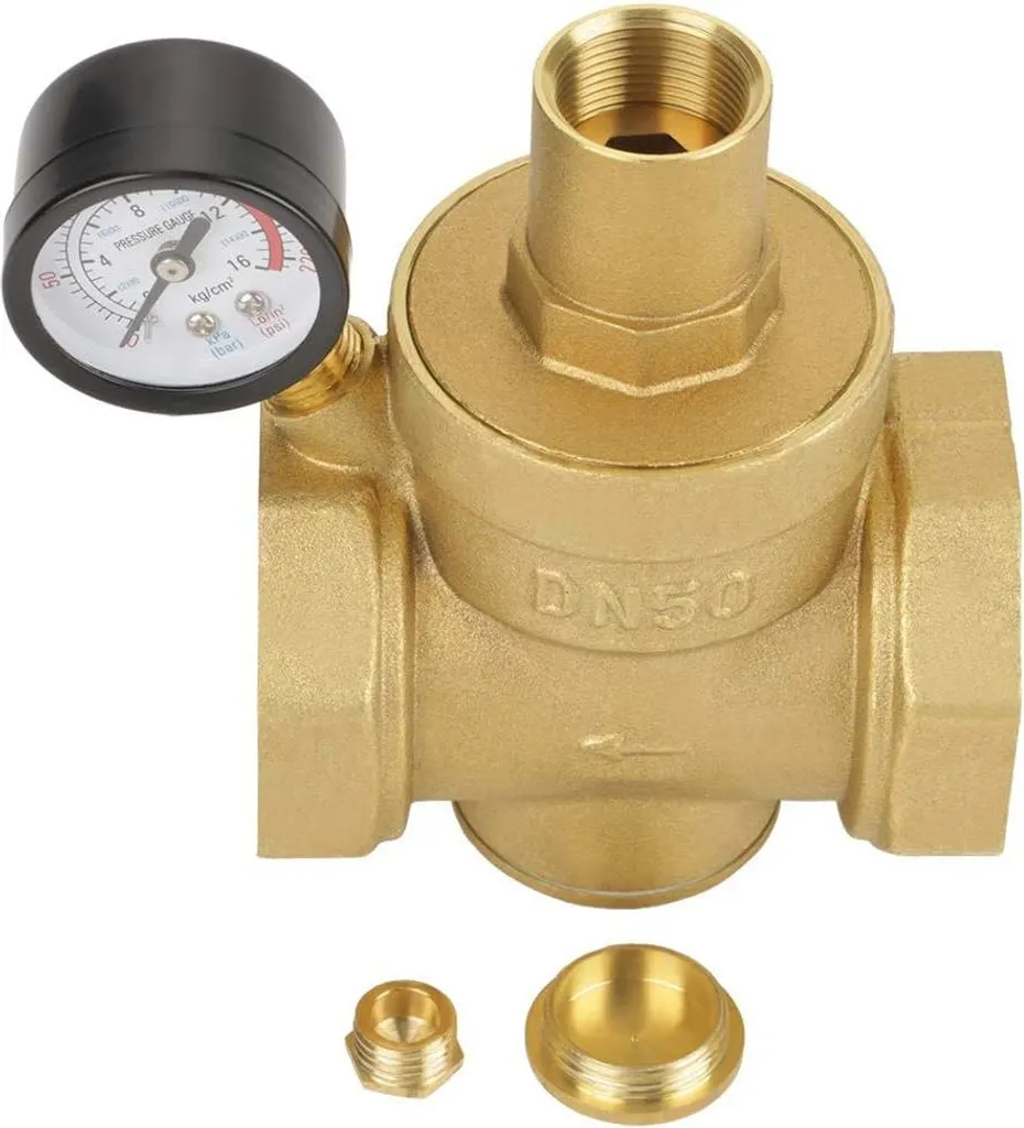 Allecto Premium Régulateur de Pression DN50 avec Manomètre pour RV