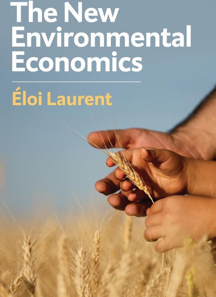 New Environmental Economics – Lingua: Inglese