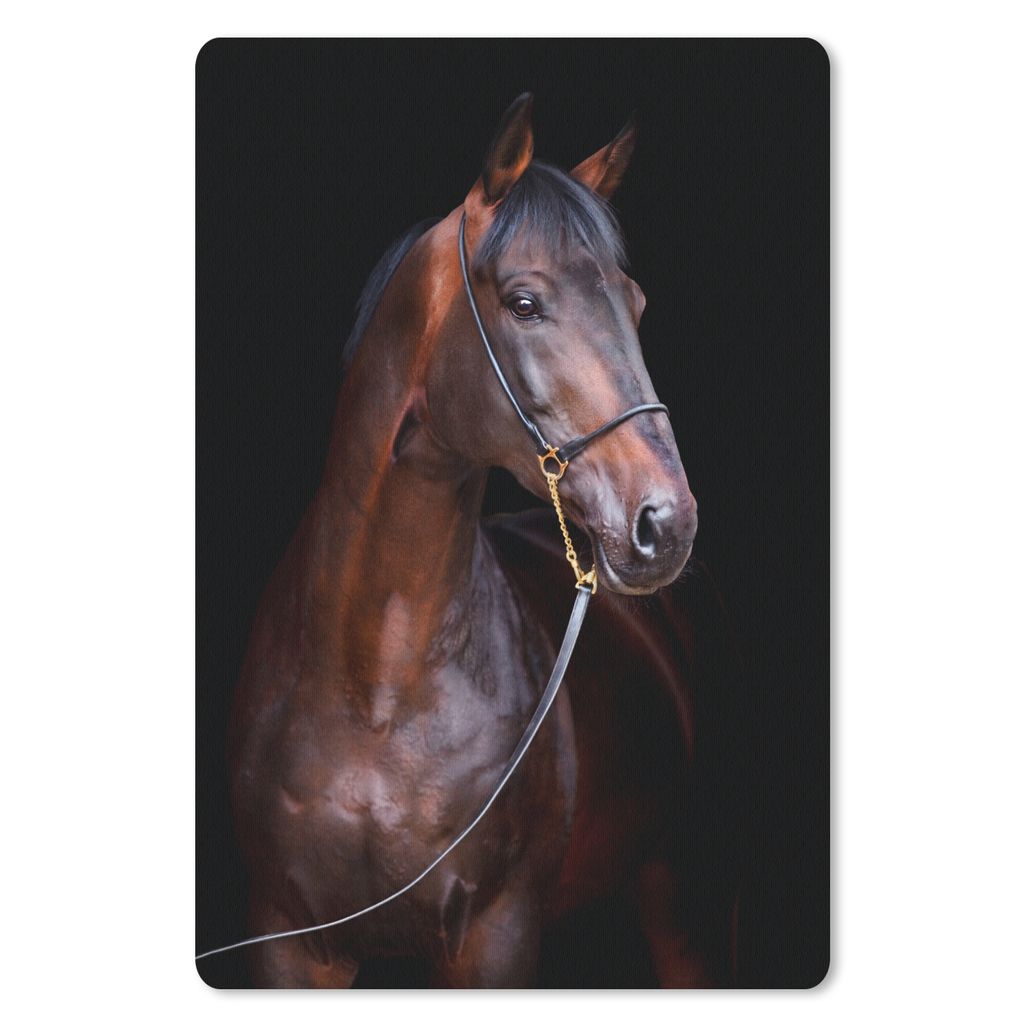 MuchoWow Mauspad Mousepad Pferd - Braun - Schwarz - Porträt 18x27 cm - Mousepads - Maus Mat - Pad - Mausunterlage