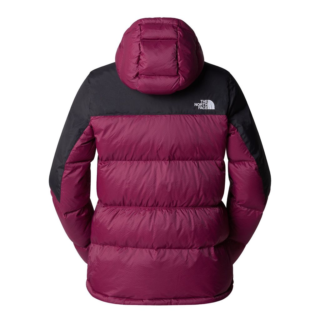 The north face panel jacket discount