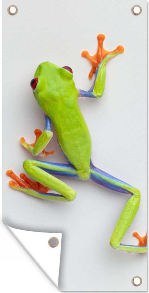 MuchoWow 80x160 cm Outdoor-Poster Gartendeko Sichtschutz Garten Poster für den Garten Frosch - Tiere - Grün