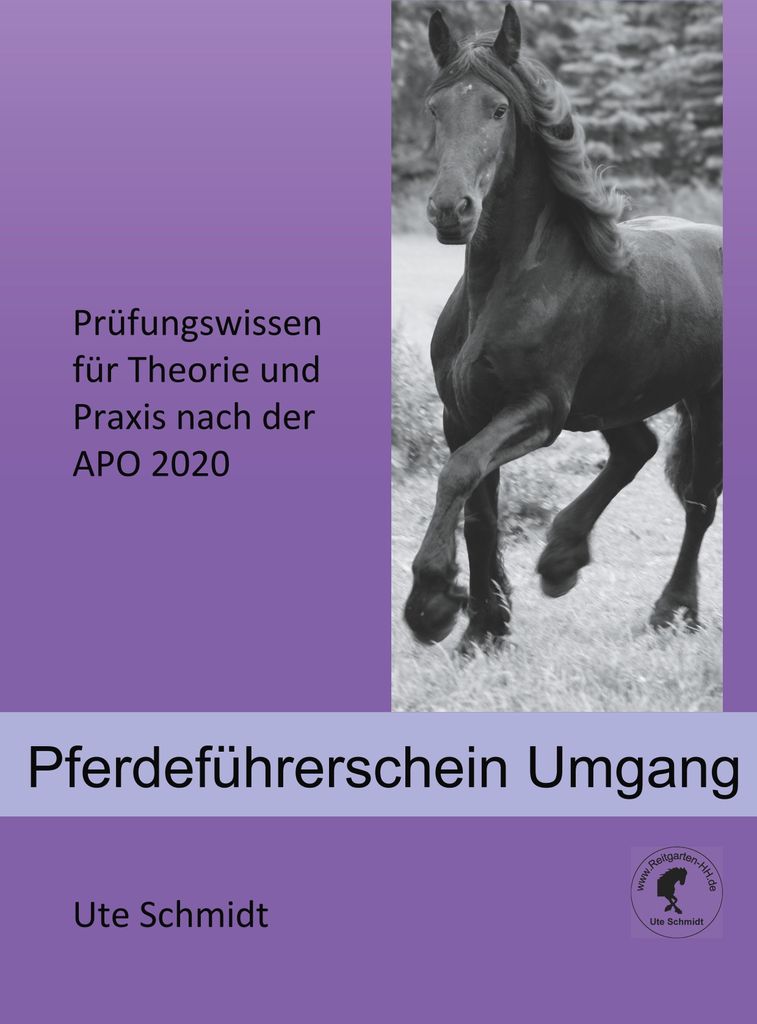 Pferdeführerschein Umgang