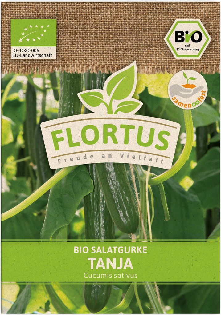 Salatgurke Tanja | Gurkensamen von FLORTUS
