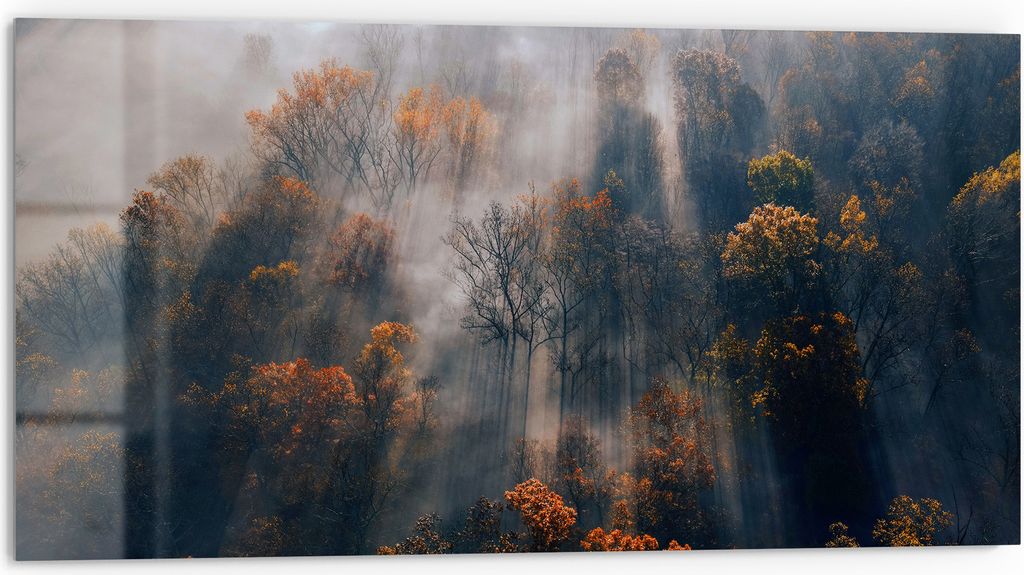 DEQORI Küchenrückwand Glas 80x40 cm 'Herbstlicher Nebelzauber' Spritzschutz Bad Rückwand Küche