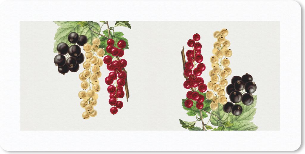 MuchoWow Mauspad Mousepad Trauben - Beeren - Lebensmittel 60x30 cm - Mousepads - Maus Mat - Pad - Mausunterlage - Nachhaltig