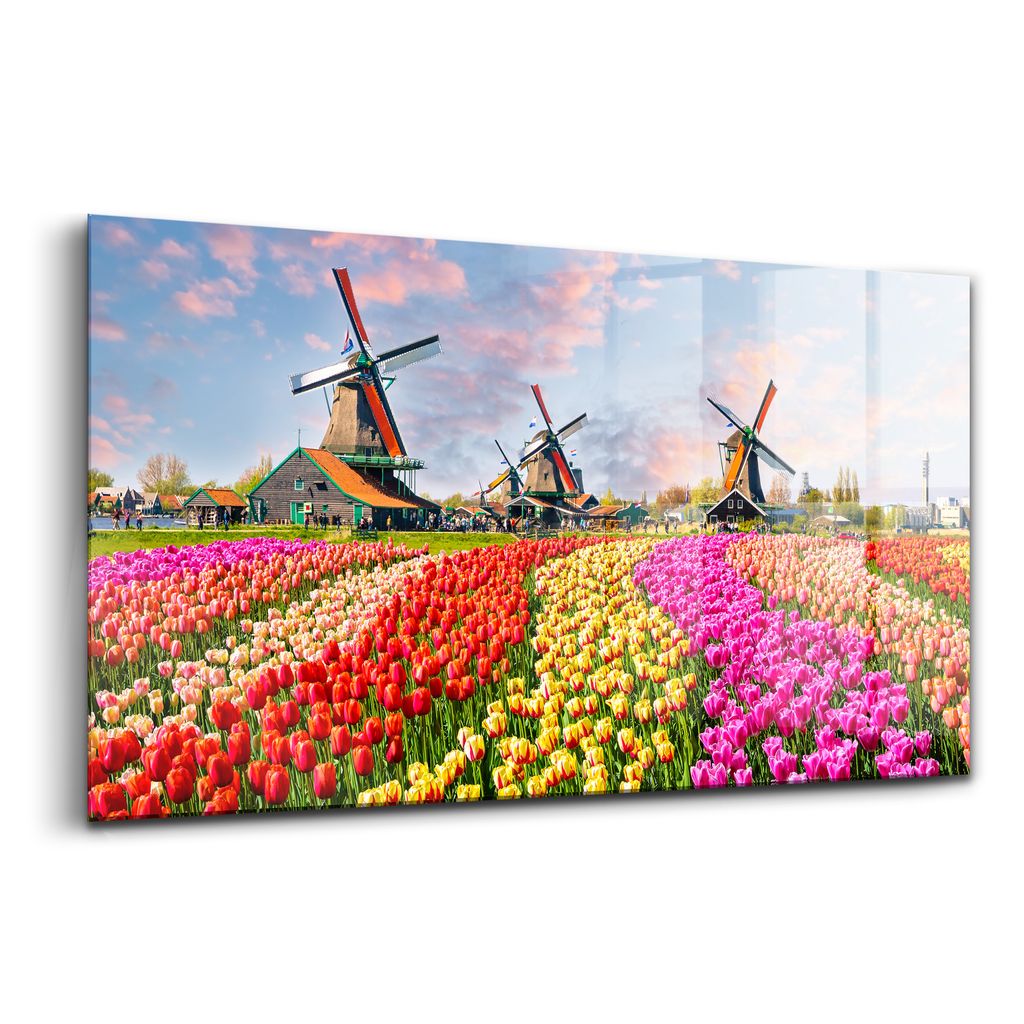 Glasmalerei - dekorative Malerei - moderne Malerei - 100x50 - Landschaft mit Tulpen Niederlande