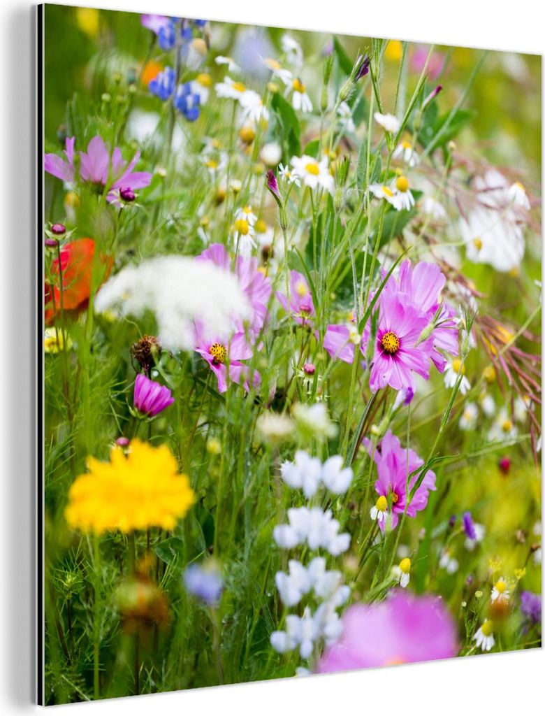 MuchoWow Wanddekoration Metall Metallbild Wandkunst 50x50 cm Blumen - Natur - Grün - Gras - Lila - Weiß MuchoWow Aluminium Gemälde - Alubild - I...