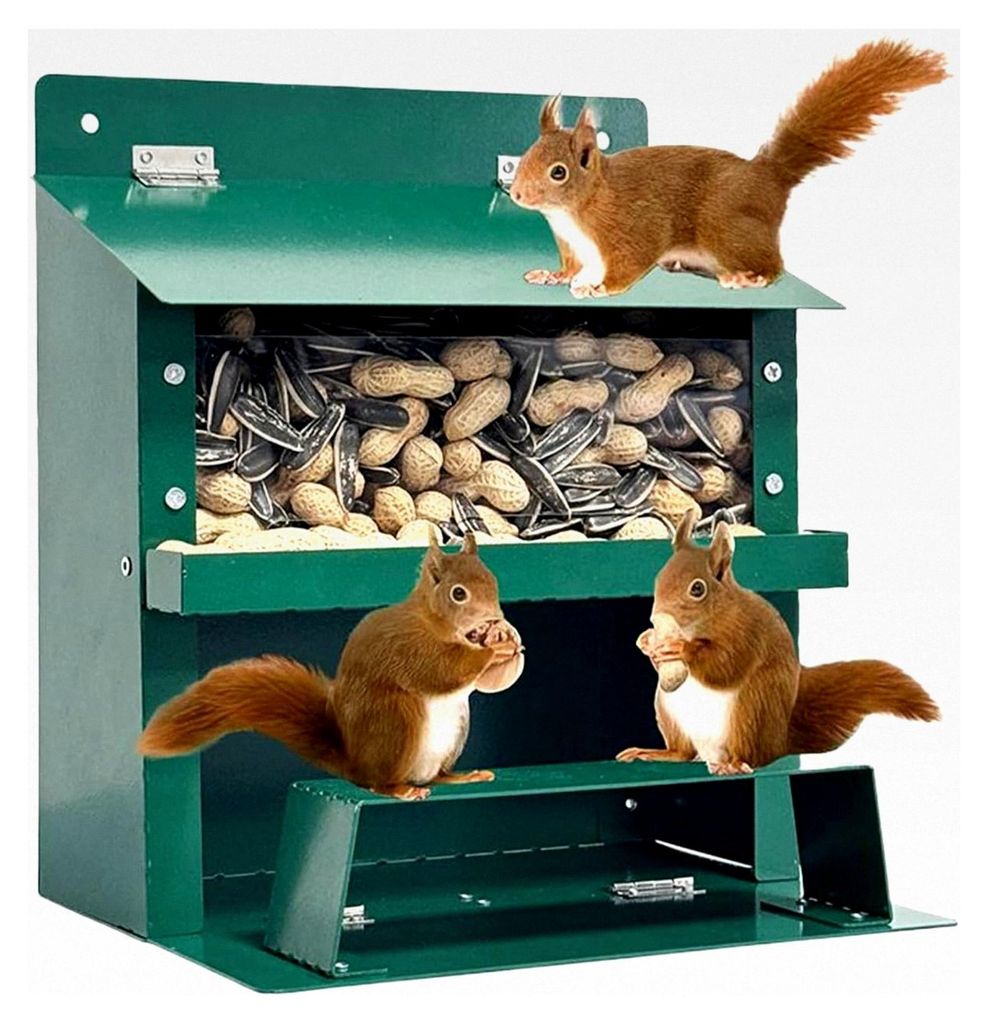 Eichhörnchen-Picknicktisch - Futterstation aus Holz für Eichhörnchen