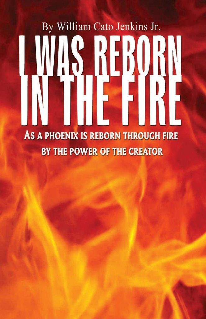 I Was Reborn In The Fire