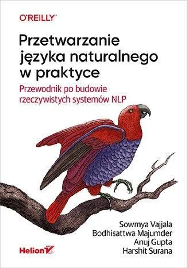 Livre Programmation NLP : Przetwarzanie Języka Naturalnego en Détail