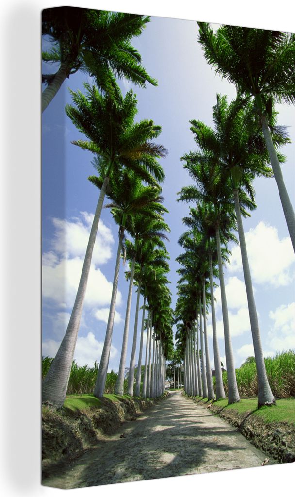 OneMillionCanvasses - Leinwandbilder - 90x140 cm, Die Schatten auf der Straße durch eine Reihe von Palmen, Wandbilder Kunstdruck Wanddekoration ...
