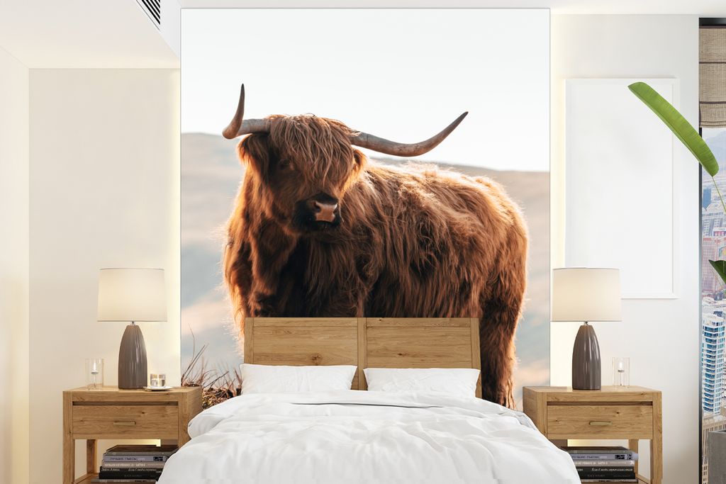 MuchoWow Fototapete für Wohnzimmer oder Schlafzimmer Wandtapete Vinyl Motivtapete Schottische Highlander - Tiere - Ländlich - Landschaft - Kuh ...