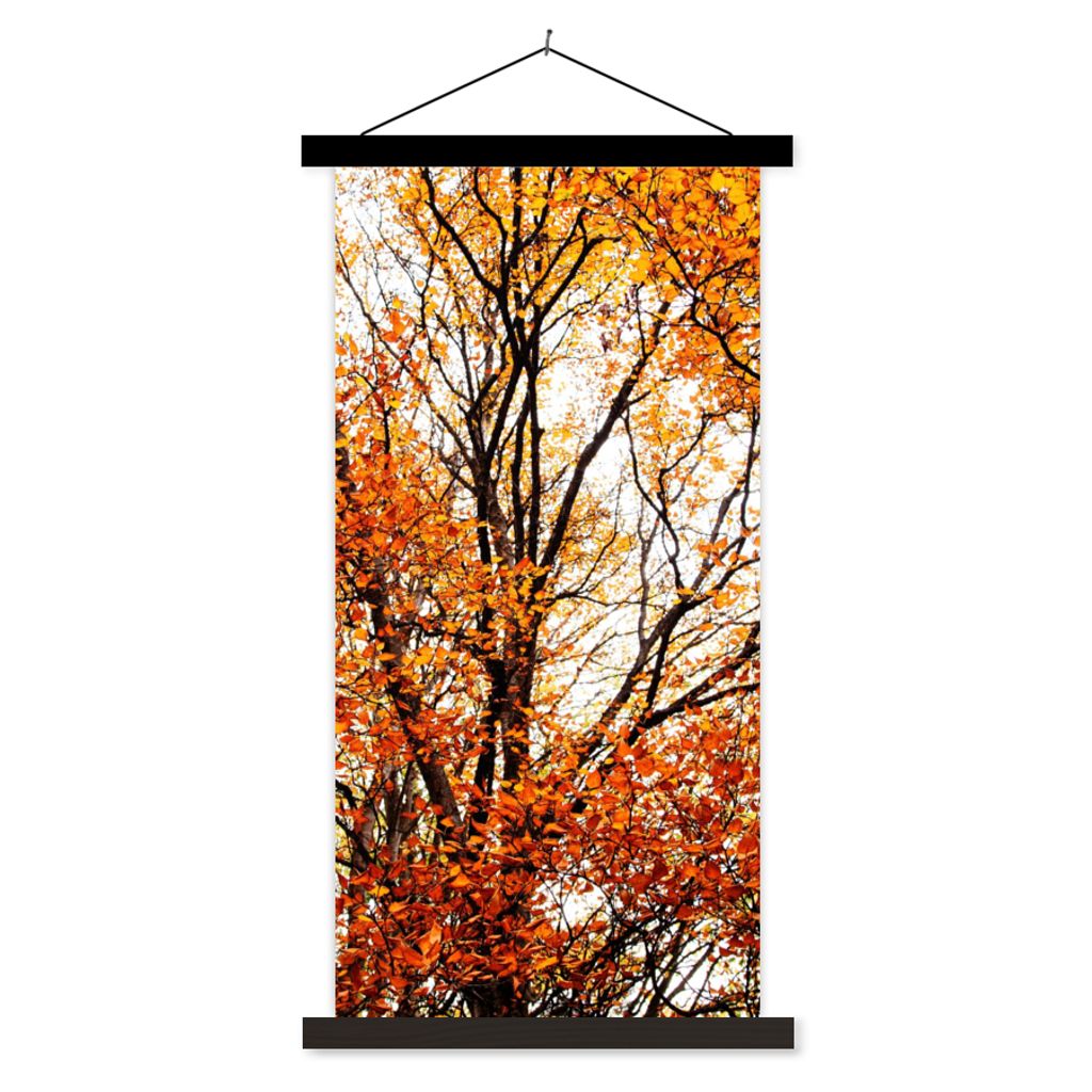 MuchoWow Textilposter Wald - Herbst - Jahreszeiten 60x120 cm mit schwarzem Rahmen - Magnete