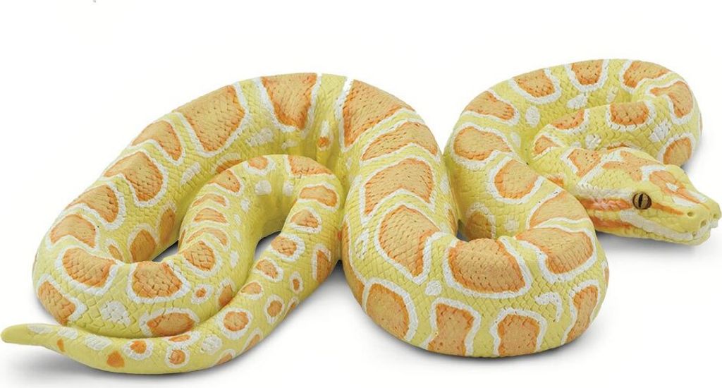 Safari Ltd Albino Burmese Python Yellow / Orange From 3 Produktbild 