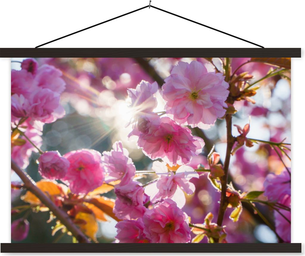 MuchoWow Textilposter Sakura - Sonne - Frühling 150x100 cm mit schwarzem Rahmen - Schlafzimmer