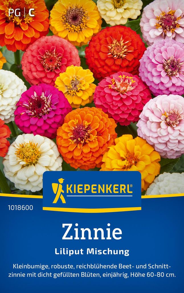 Kiepenkerl Zinniensamen Liliput 50 Pflanzen