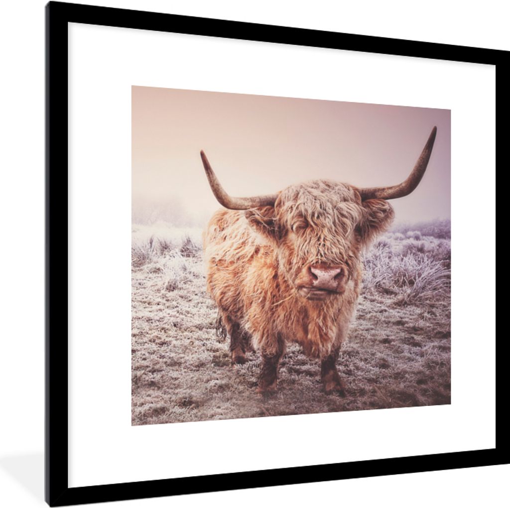 MuchoWow Gerahmtes Poster Schottische Highlander - Schnee - Sonne 40x40 cm - Poster mit Schwarzem Bilderrahmen Wandposter Rahmen Foto Bilder - Po...