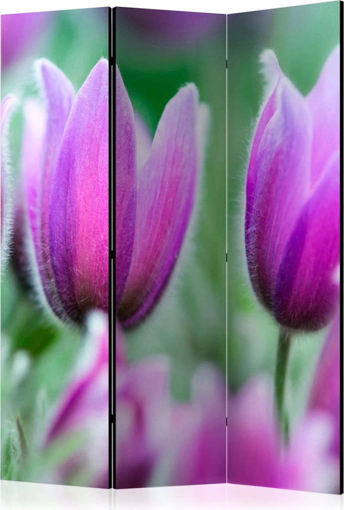 3-teiliger Doppelseitiger Vlies Paravent - Purple spring tulips 135x172 cm Blumen b-C-0456-z-b