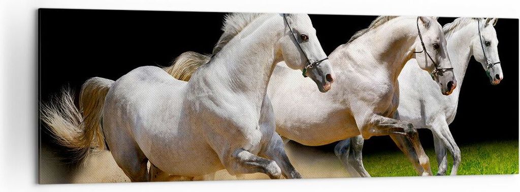 Bild auf Leinwand - Leinwandbild - Pferde Sand Gras - Produktbild 