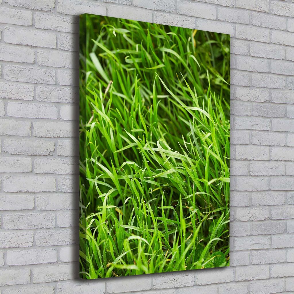 Tulup Leinwandbild - 70x100cm - Wandkunst - Drucke auf Leinwand - Leinwanddruck - Wohnzimmer Wanddekoration XXL - Wohnung Deko Kunstdrucke - Blum...