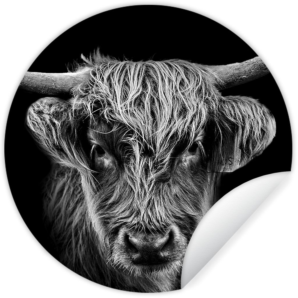 MuchoWow Runde Wandtattoo - Wandsticker Tapete Aufkleber Schottischer Highlander - Schwarz - Kuh - Tiere Ø 80 cm Selbstklebend und Repositionier...