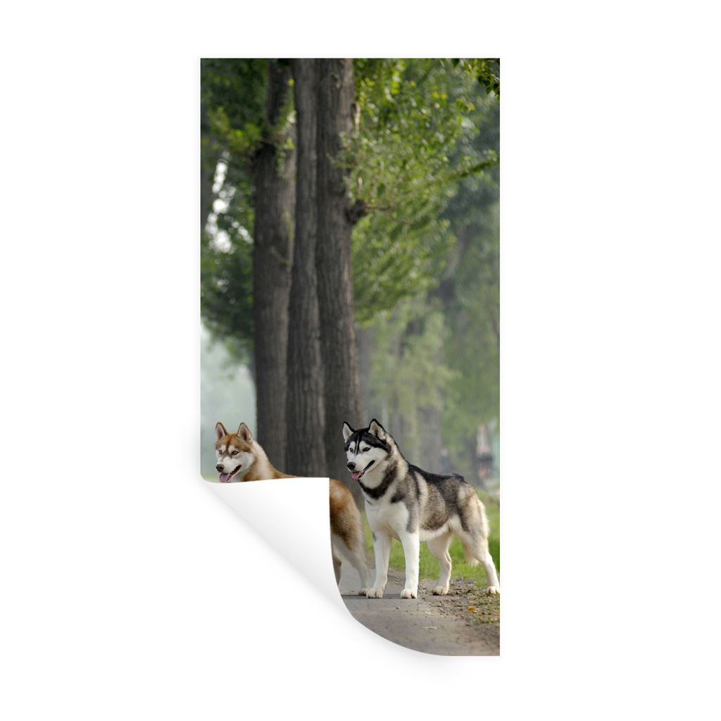 MuchoWow Wandtattoo Wandsticker Wandaufkleber Vier Huskys zwischen den Bäumen 20x40 cm Selbstklebend und Repositionierbar - Selbstklebend - Foto...