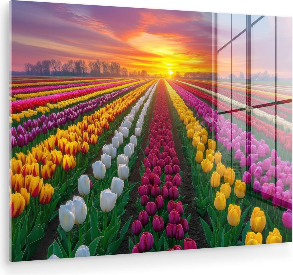 MuchoWow Glasbilder - Bilder auf Wandbild - Foto auf Glas Tulpenfeld - Sonnenuntergang - Farbenfroh 80x60 cm Wanddekoration aus Glas - Acrylglasbil...