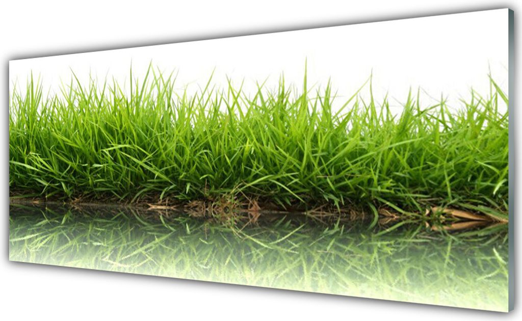 Glasbilder 125x50 Wandbild Druck auf Glas Gras Natur