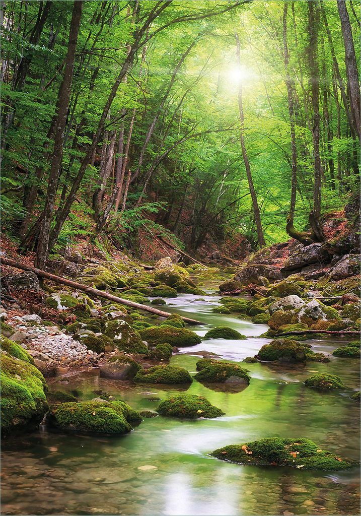 Wallario Poster - Fluss im Wald, Kunstdruck Größe: 70 x 100 cm
