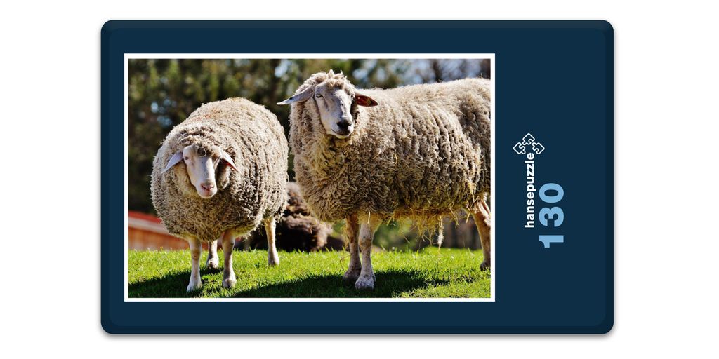 hansepuzzle 18504 - Schafe auf Weide Puzzle, 130 Teile, Tierwelt, 28,7 x 20,0cm mit hochwertiger Aufbewahrung, Kartonbox & Beutel