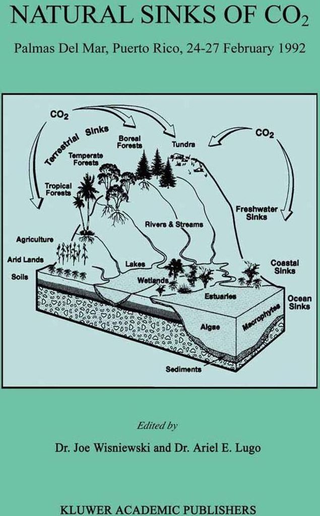 Natural Sinks of CO2