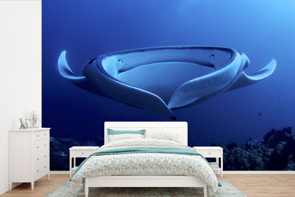MuchoWow Fototapete für Wohnzimmer oder Schlafzimmer Wandtapete Vinyl Motivtapete Eine Nahaufnahme eines Rochens im blauen Wasser - 525x350 cm -...