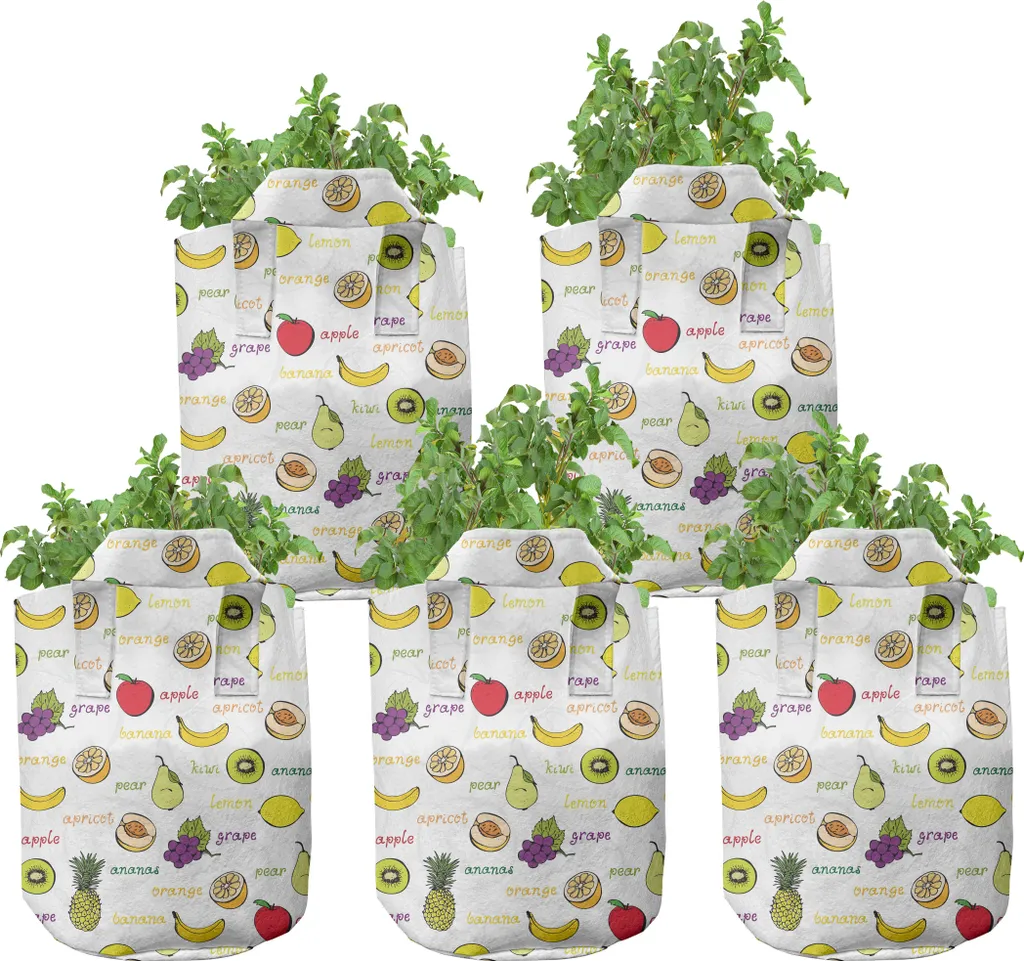 Pots de culture pour fruits d'été et aliments frais en tissu 7 gal