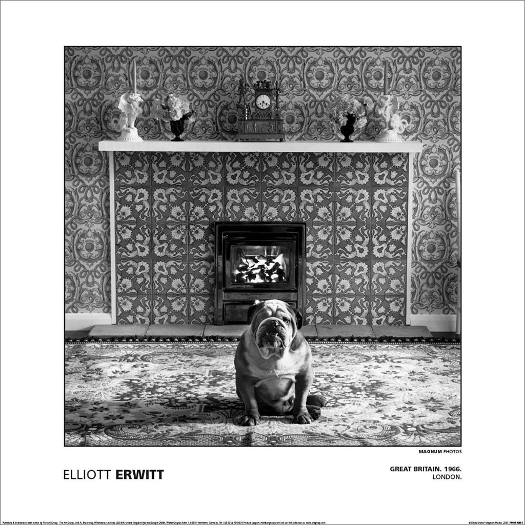 Magnum - "Elliot Erwitt - Great Britain London 1966" Immagine del prodotto 
