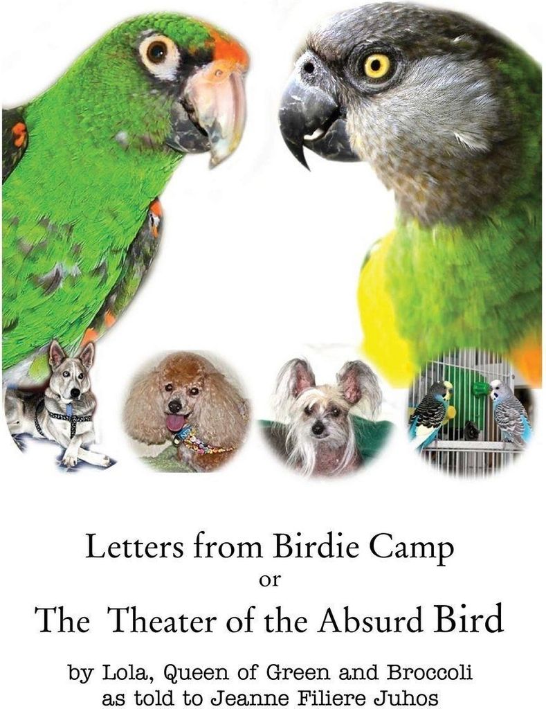 Letters from Birdie Camp