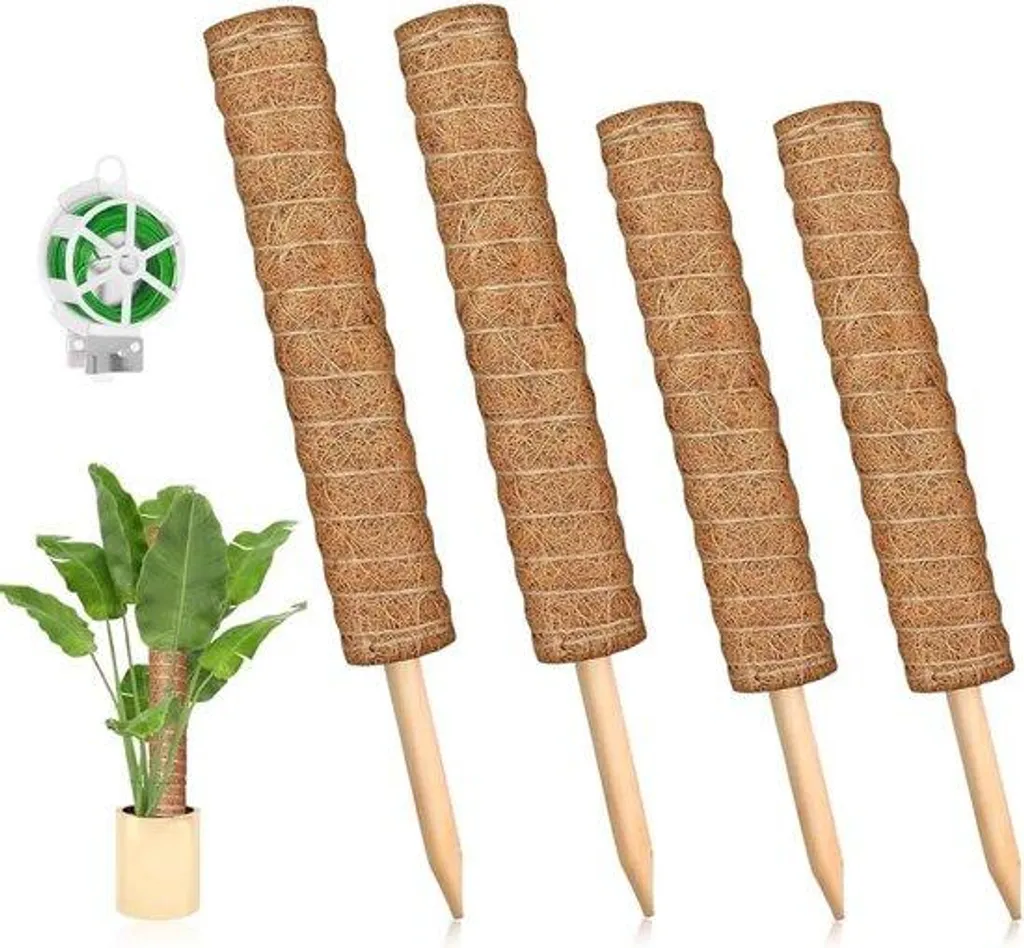 Support pour plantes en 4 parties avec attaches et tuteurs mousse 20m